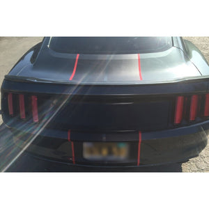 10" Twin Color Racing Stripes