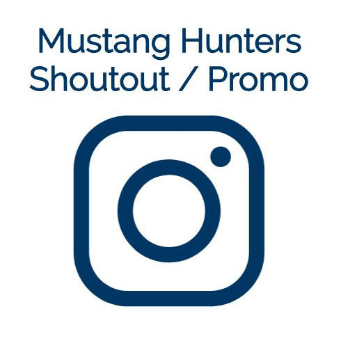 Instagram Shoutout / Promotional Post