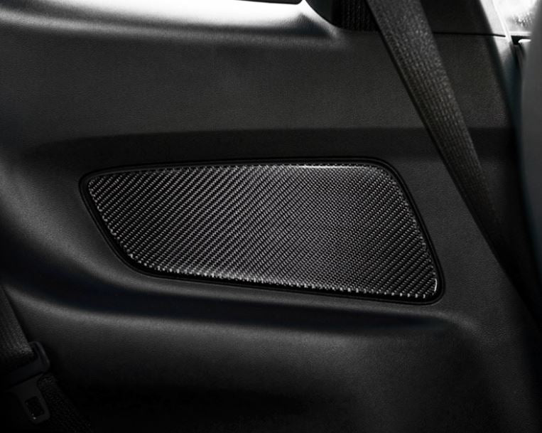 Carbon Fiber Rear Side Panel Trim